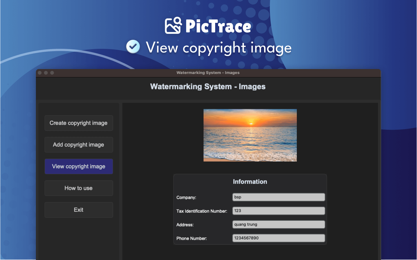PicTrace copyright verification interface